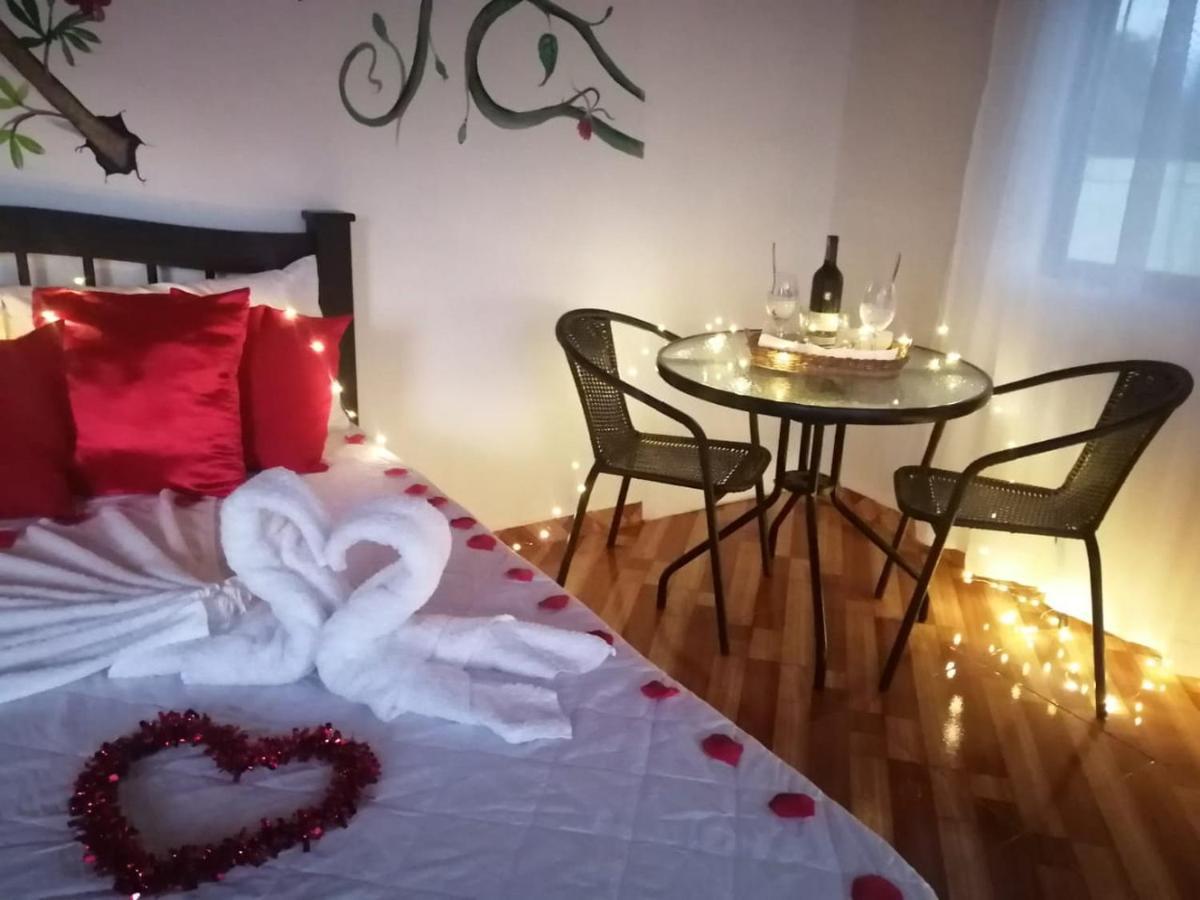 Finca Turistica Santa Clara Vandrarhem Calarcá Exteriör bild