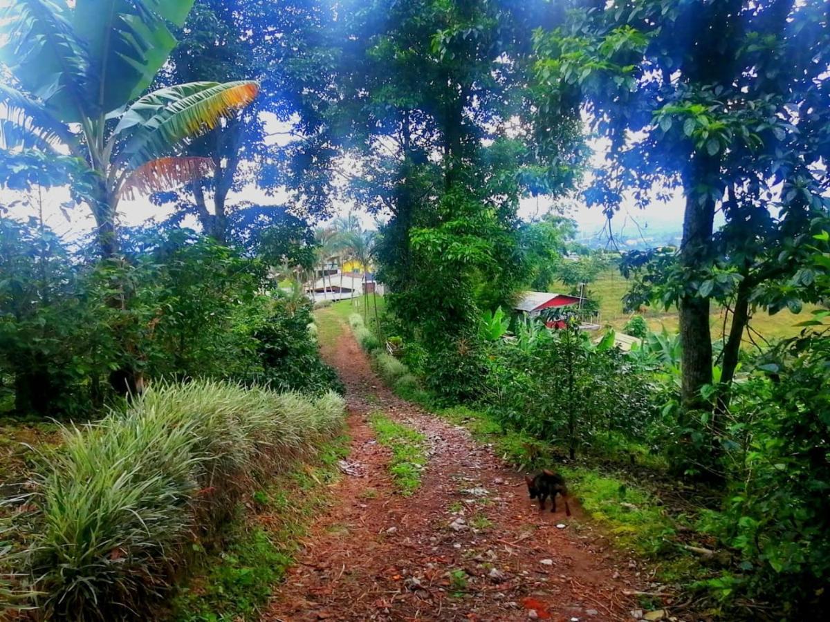 Finca Turistica Santa Clara Vandrarhem Calarcá Exteriör bild