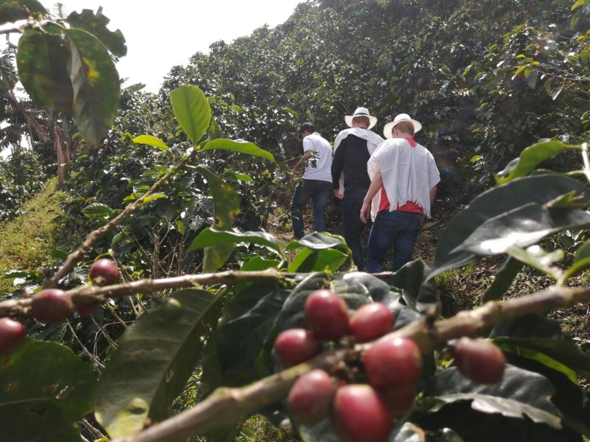 Finca Turistica Santa Clara Vandrarhem Calarcá Exteriör bild